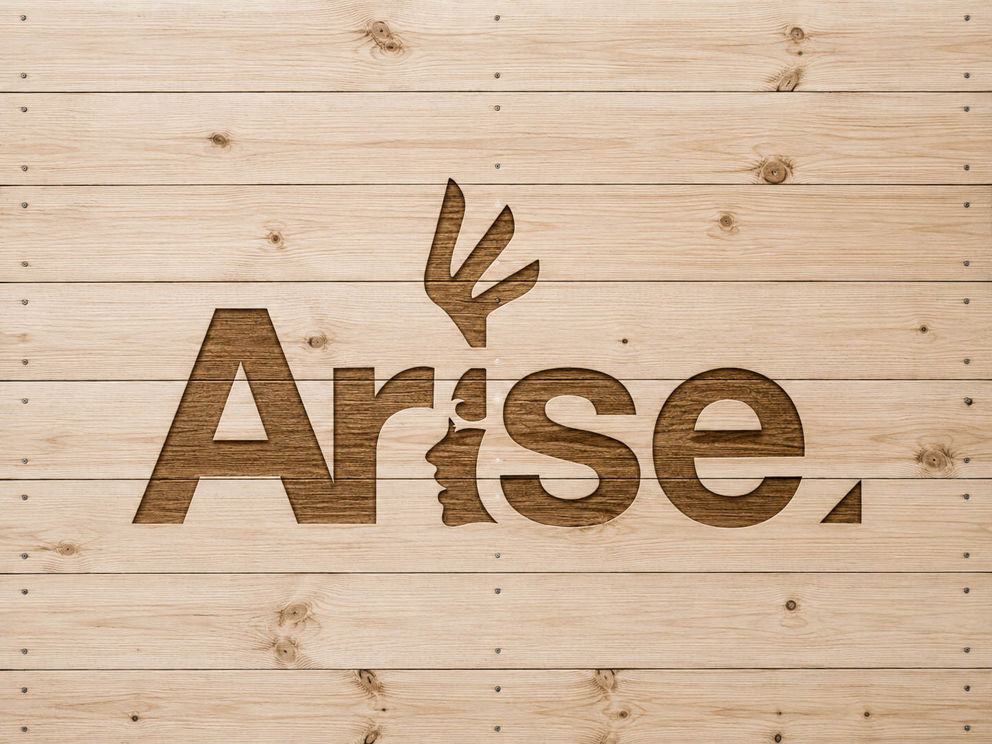 ARISE Canada